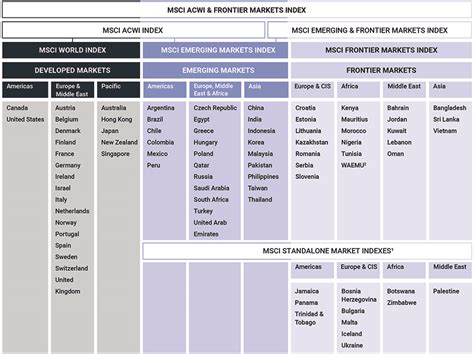 mscix fund|msci developed market countries.